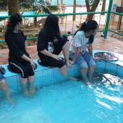 massage-chan-bang-ca (2)